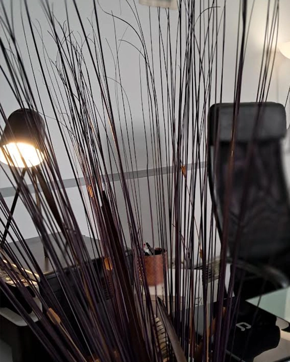 dettaglio_studio